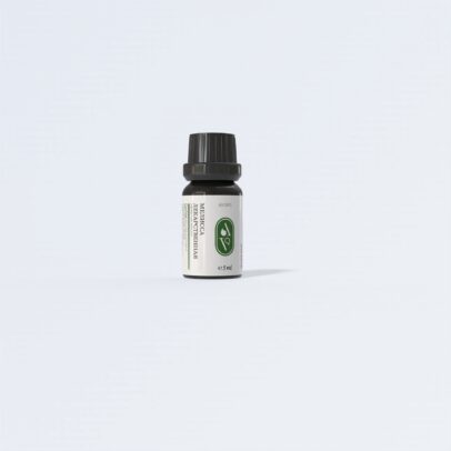 Мелисса лекарственная (MELISSA OFFICINALIS)