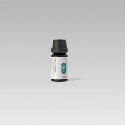 Мята Луговая (MENTHA ARVENSIS)